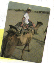 Image d'un dromadaire.png